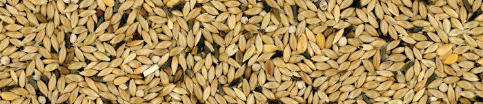 MANITOBA HRANA ZA KANARINCE T3 PLATINUM 20 KG