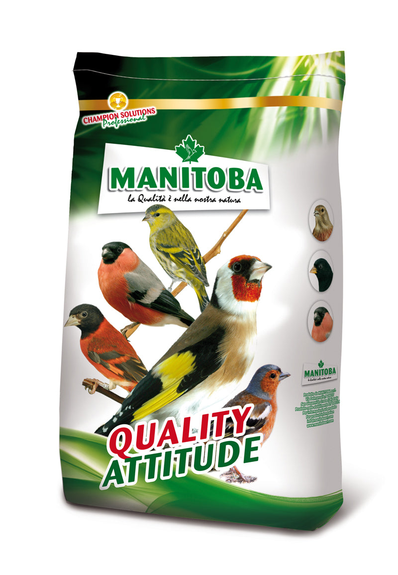 MANITOBA CARDELLINO MAJOR 15 KG