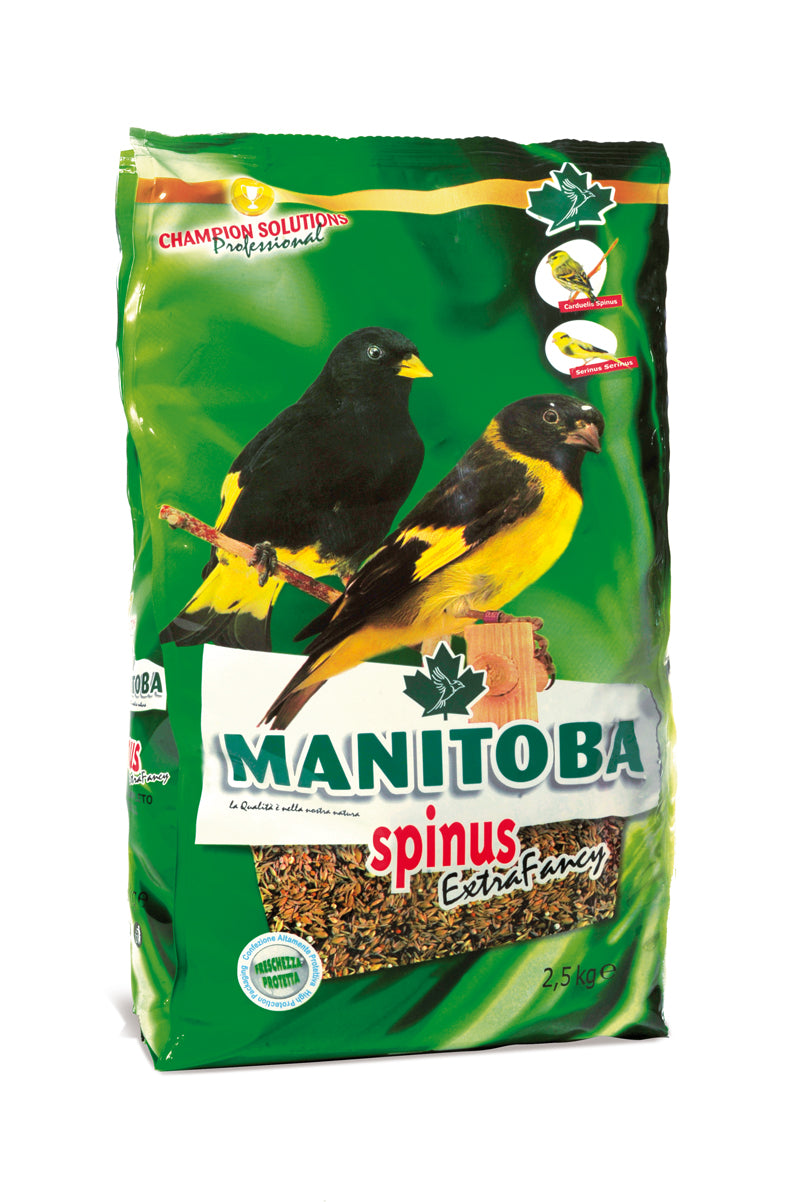 MANITOBA SPINUS EXTRA FANCY 2.5 KG