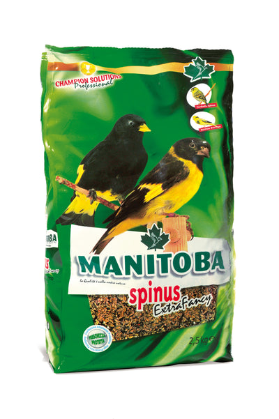 MANITOBA SPINUS EXTRA FANCY 2.5 KG