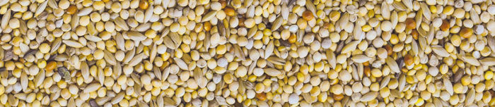 MANITOBA SJEME ZA EGZOTE DIAMANTINE PREMIUM 20 KG