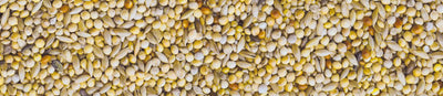 MANITOBA SJEME ZA EGZOTE DIAMANTINE PREMIUM 20 KG