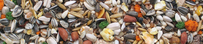 MANITOBA SJEME ZA SVE VELIKE PAPIGE 2 KG