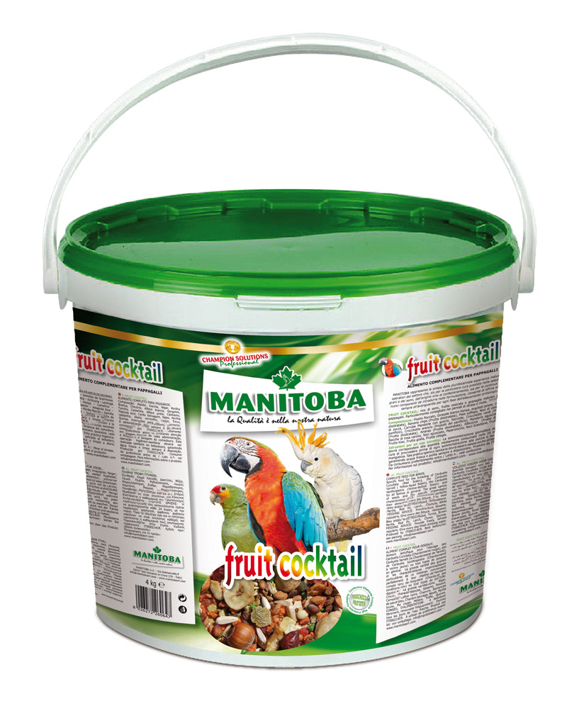 MANITOBA FRUIT COCKTAIL 4 KG (KANTA)