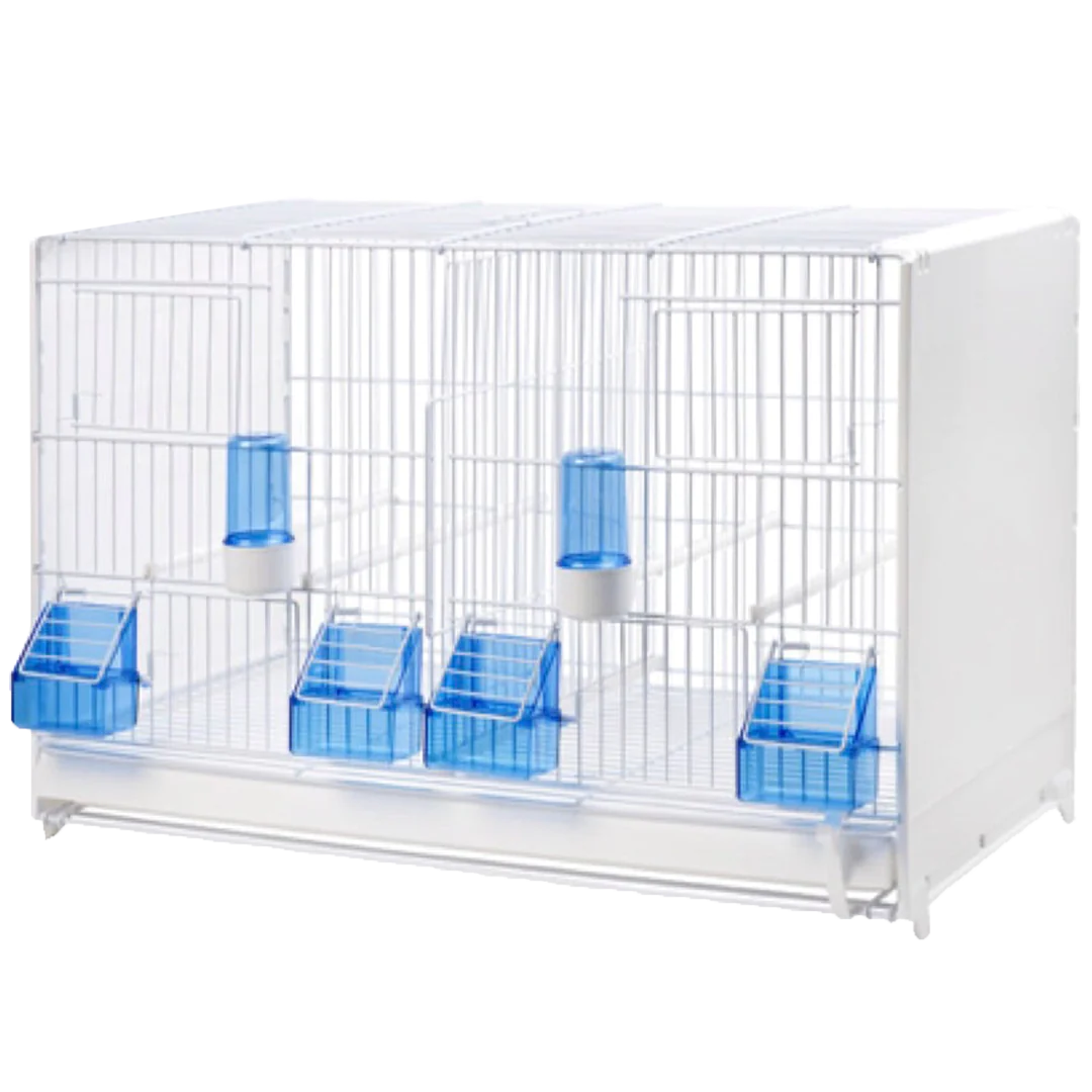 2GR KAVEZ ZA UZGOJ 326/B