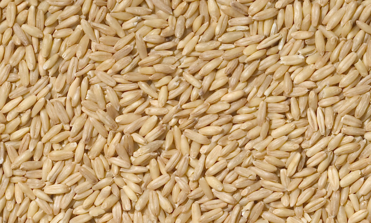 MANITOBA ZOB OLJUŠTENA 20 KG