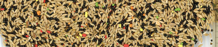 MANITOBA SJEME ZA KANARINCE S BISKVITIMA 1 KG