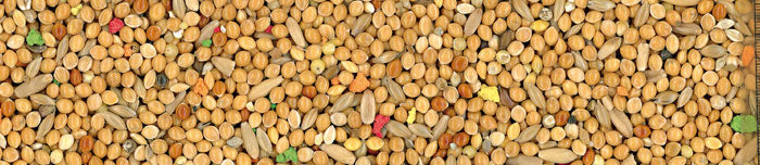 MANITOBA SJEME ZA TIGRICE S VITAMINIMA 20 KG