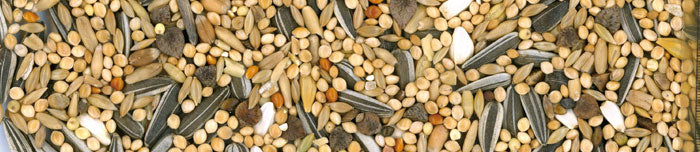 MANITOBA SJEME ZA SREDNJE PAPIGE 20 KG