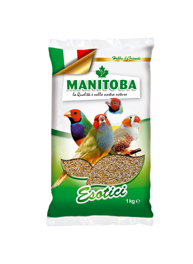 MANITOBA SJEME ZA EGZOTE 1 KG