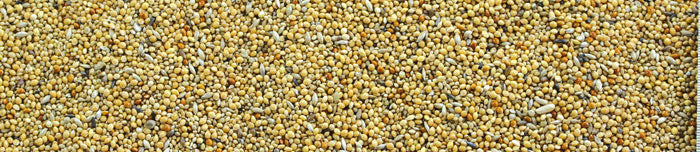 MANITOBA SJEME ZA EGZOTE 20 KG