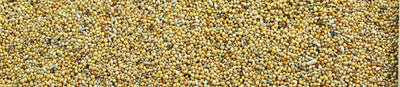 MANITOBA SJEME ZA EGZOTE 20 KG