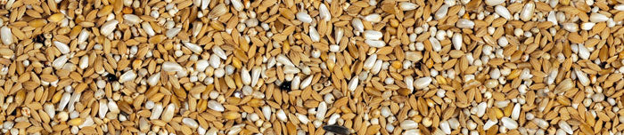 MANITOBA HRANA ZA GOLUBOVE DEPURATIVO 20 KG