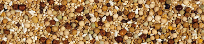 MANITOBA SJEME ZA GOLUBOVE LIEGE BEZ KUKURUZA 20 KG