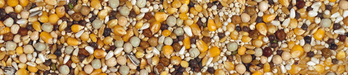 MANITOBA TOP SPORT SUPER CLASS 20 KG