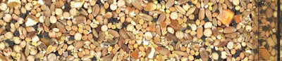 MANITOBA HRANA ZA GRLICE 20 KG