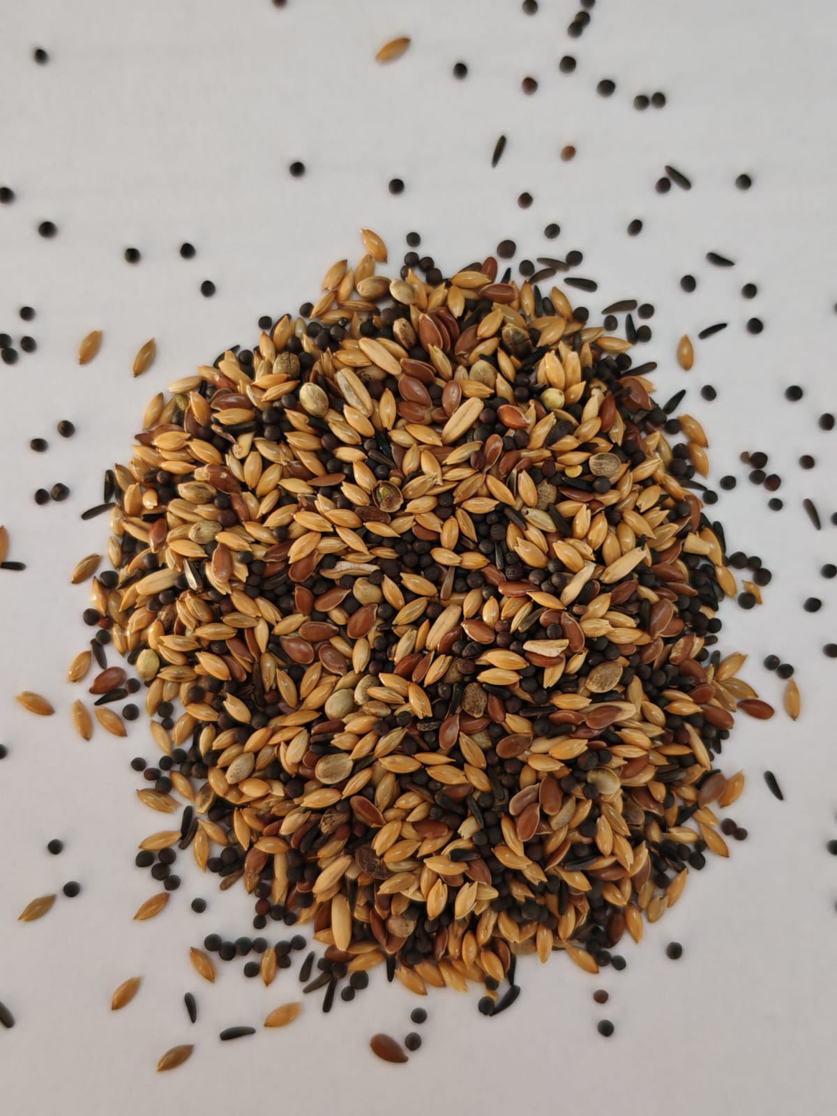 CANARINI BREEDING MANITOBA - PRIVATNA RECEPTURA 20 KG