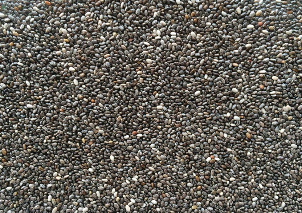 MANITOBA CHIA SJEME ZA PTICE 1 KG