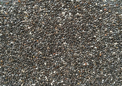MANITOBA CHIA SJEME ZA PTICE 1 KG