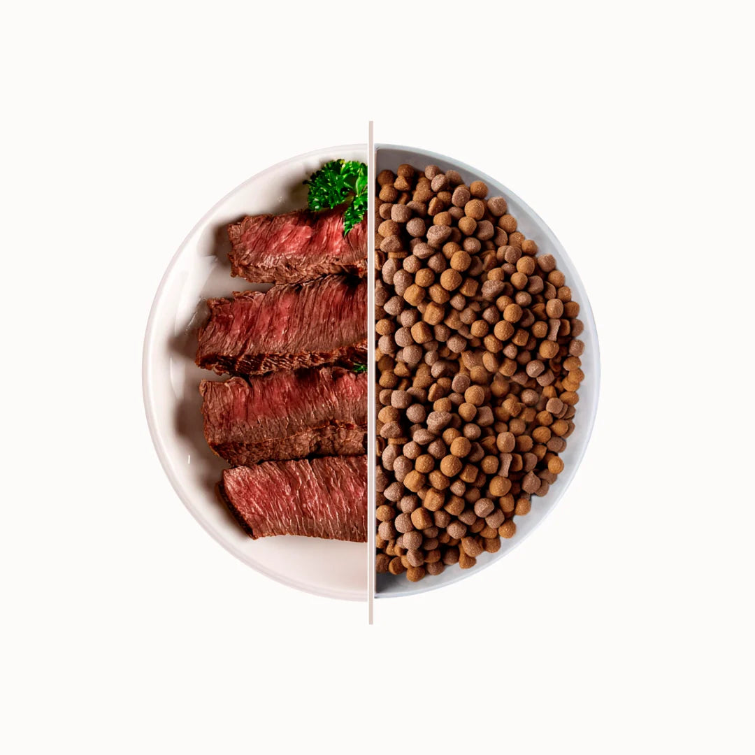 TOP Beef suha hrana za odrasle pse srednjih i velikih pasmina – govedina 20 kg