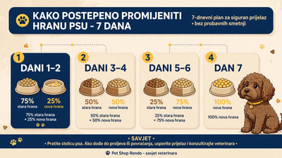 Kako ispravno i bez stresa promijeniti hranu psu? (Vodič korak po korak)