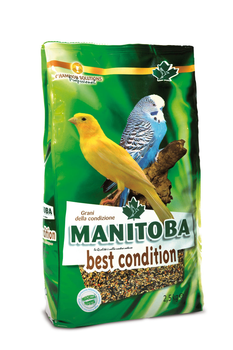 BEST CONDITION MANITOBA 15 KG