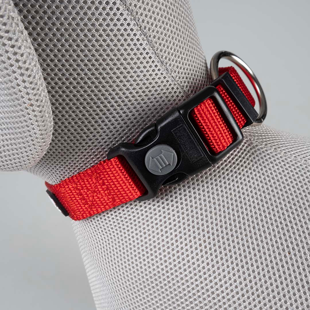 Duvoplus Classic ogrlica za pse – crvena