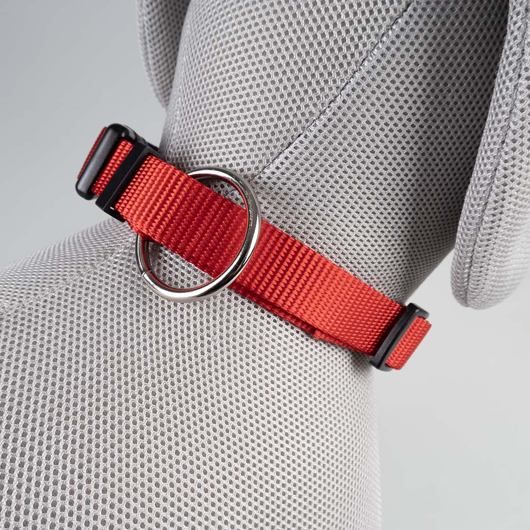 Duvoplus Classic ogrlica za pse – crvena