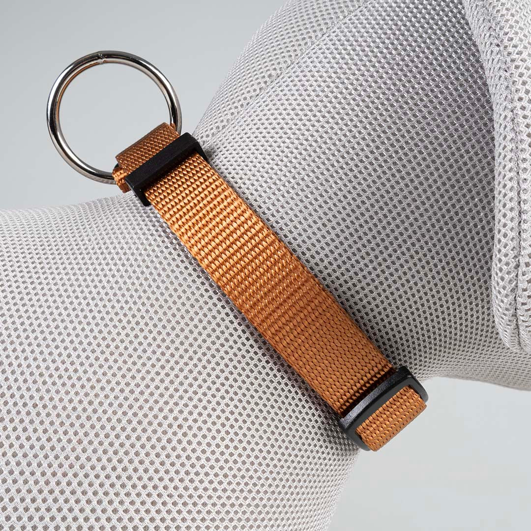Duvoplus Fashion ogrlica za pse – smeđa, M 30–45 cm