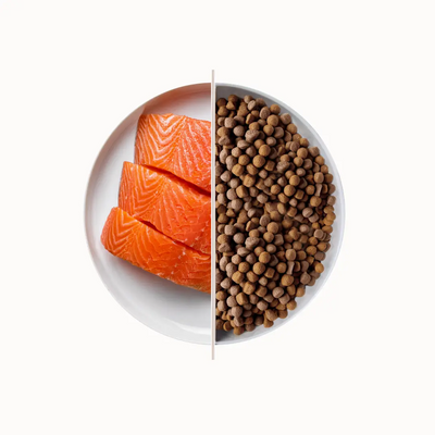 TOP Salmon suha hrana za odrasle pse – losos 3 kg