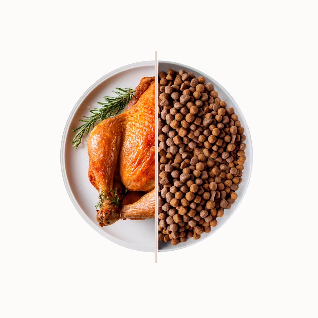 TOP Chicken suha hrana za odrasle pse – piletina 10 kg