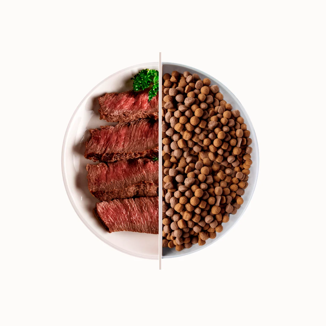 TOP Beef suha hrana za odrasle pse – govedina 3 kg
