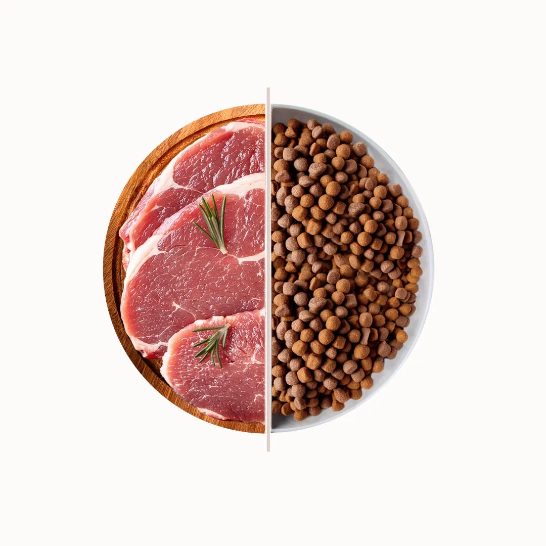 TOP Pork suha hrana za odrasle pse – svinjetina 20 kg